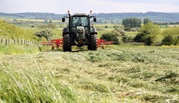Silage quality vs quantity during drought